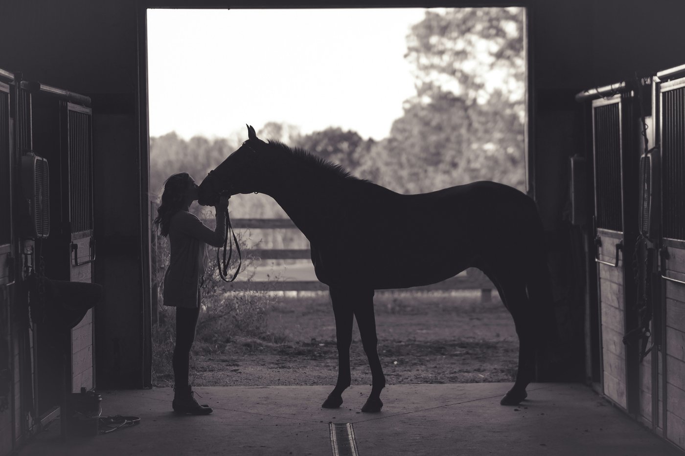 A woman kissing her horse's nose in a barn doorway at dusk